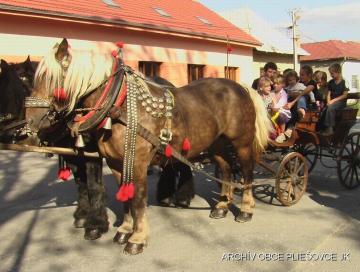 Deň sv. Huberta 2011 Deň sv. Huberta 2011