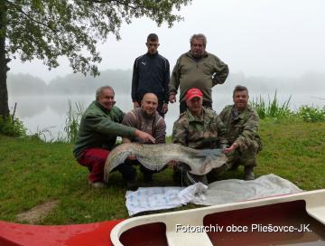 Sumec z pliešovského rybníka - 13.07.2012 Sumec z pliešovského rybníka - 13.07.2012