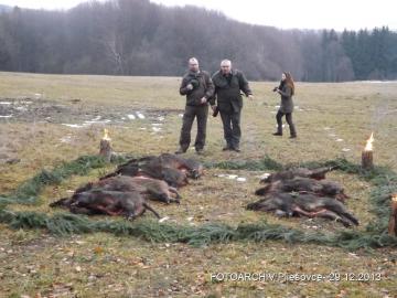 Obecné lesy Pliešovce - spoločná poľovačka Obecné lesy Pliešovce - spoločná poľovačka