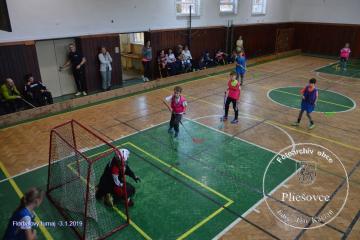 Florbal - 3.1.2019 Florbal - 3.1.2019